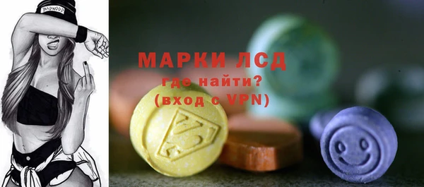 PSILOCYBIN Каменка