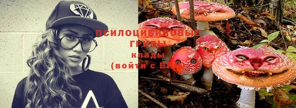 PSILOCYBIN Каменка