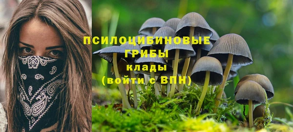 мет Каменногорск