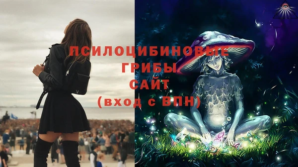 мет Каменногорск