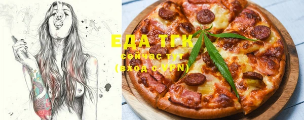 PSILOCYBIN Каменка
