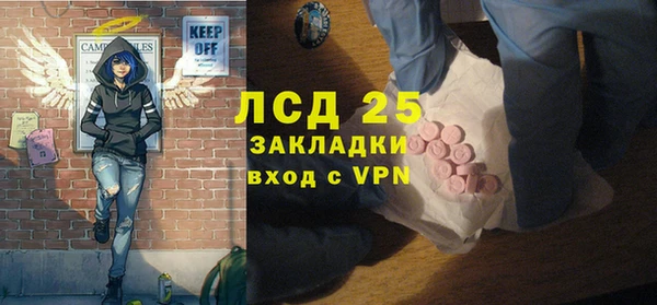 PSILOCYBIN Каменка