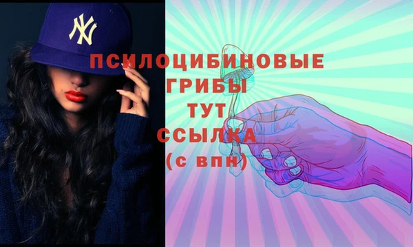 мет Каменногорск